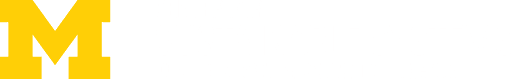 CSS Logo